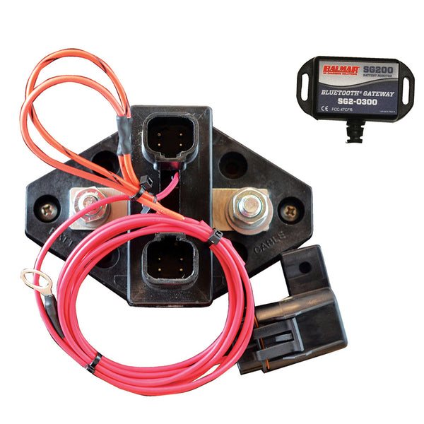 SG205 Battery Monitor Kit w/Bluetooth Gateway - No Display