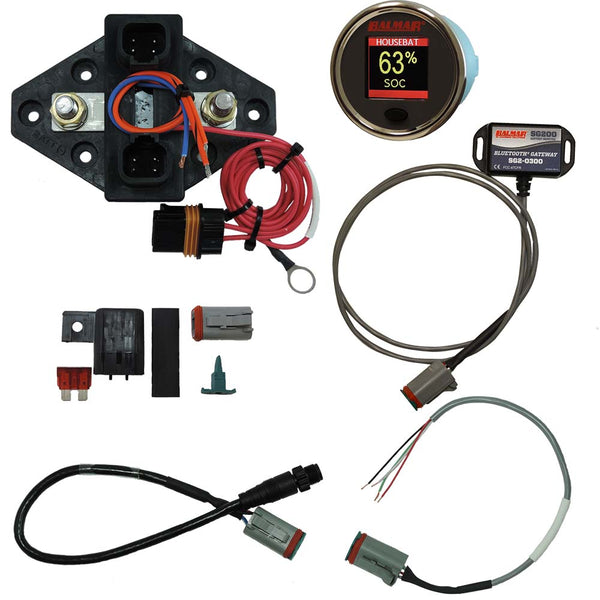 SG230 Battery Monitor Kit N2K BT Gateway Color Display 12-48VDC