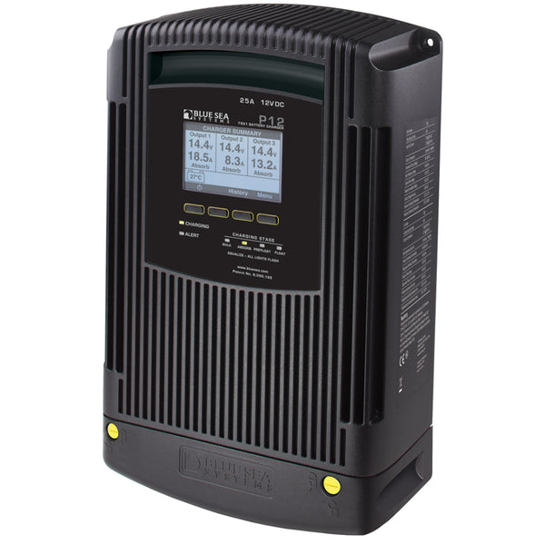 7531 P12 Battery Charger - 12V DC 25A