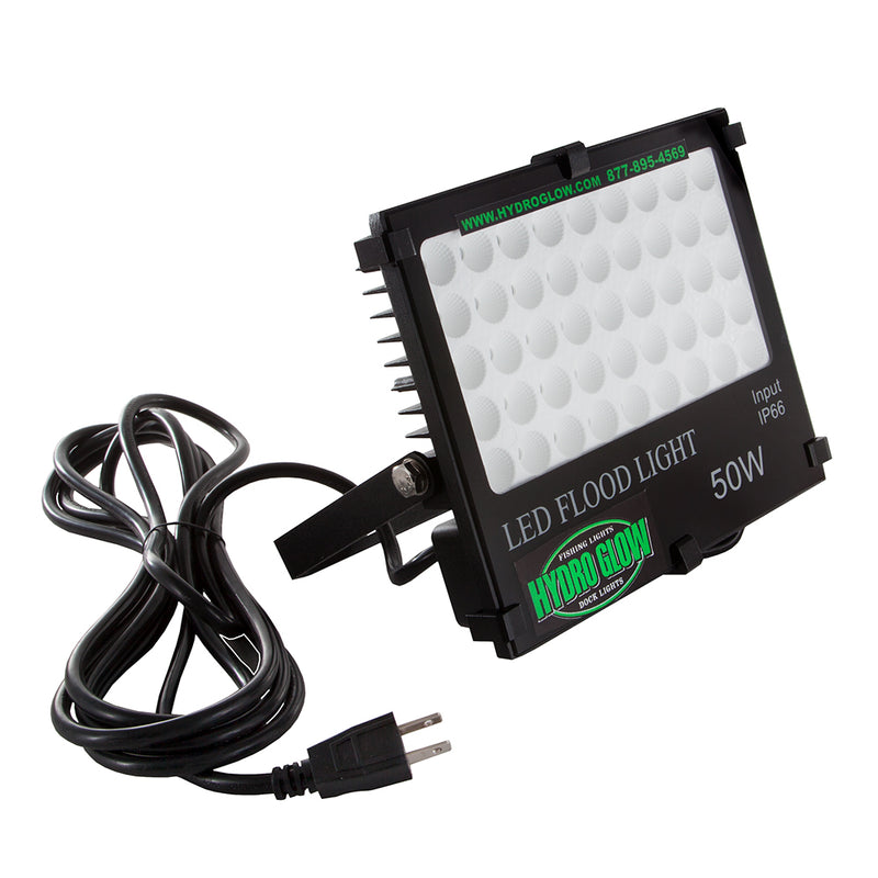 FL50 50W/120VAC Flood Light - Green
