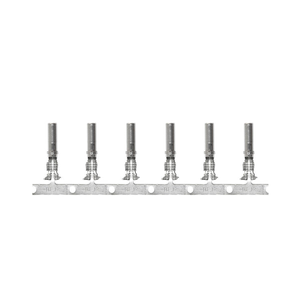 Pacer DTP Deutsch Socket f/10 AWG Wire - Size 12 Contact (10 Pack)