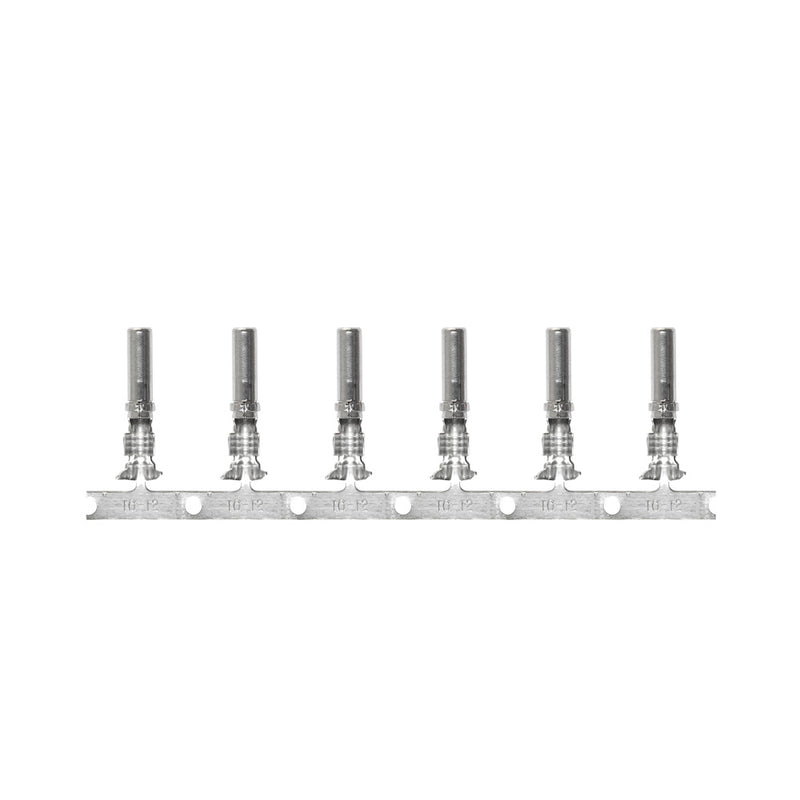 Pacer DTP Deutsch Socket f/10 AWG Wire - Size 12 Contact (25 Pack)